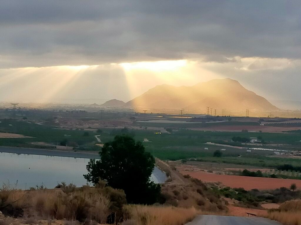 huevos de gallinas libres